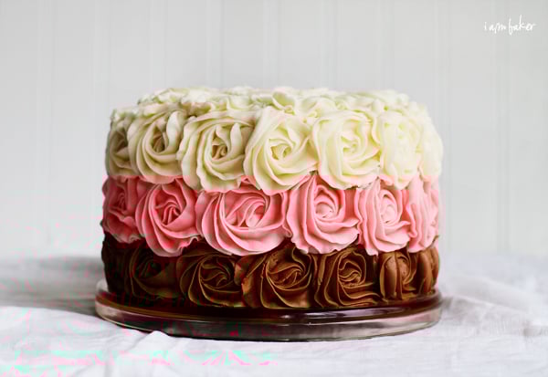 Neapolitan Cake