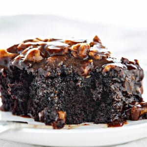 Dark Chocolate Cake with Buttermilk Pecan Frosting