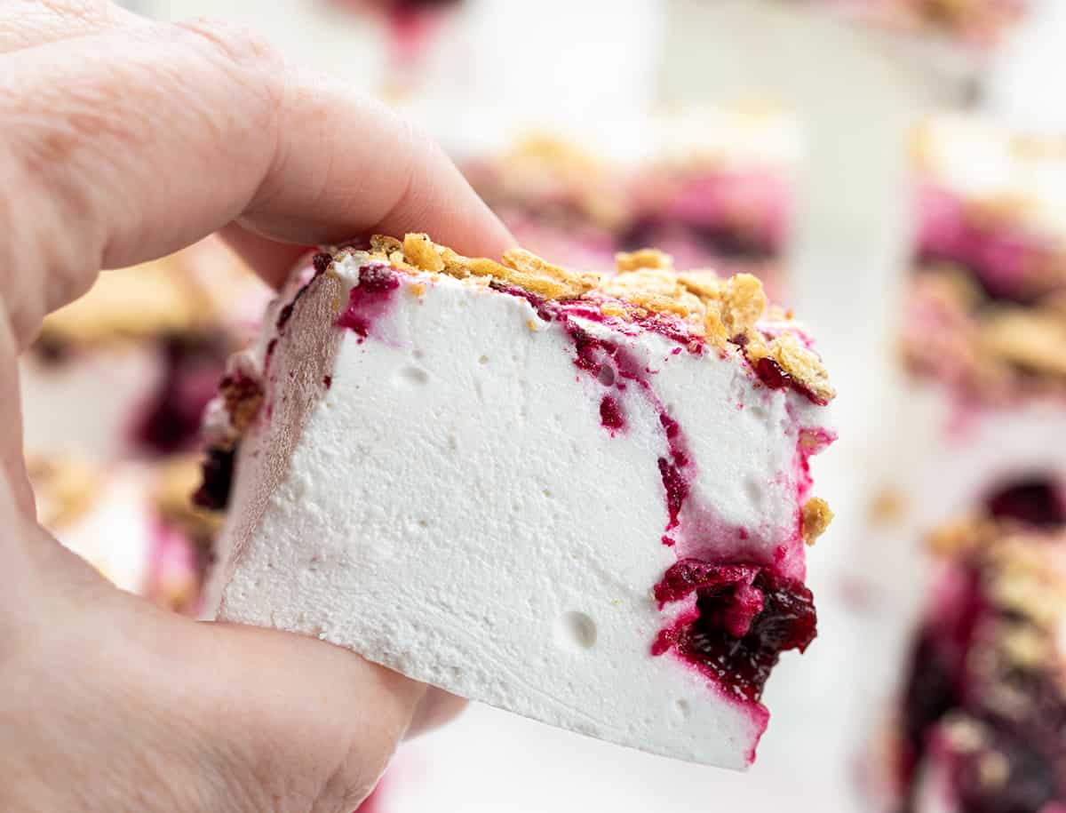 Blueberry Marshmallows are super fluffy homemade marshmallows marbled with blueberry syrup and topped with crushed graham crackers. I was going for a "Blueberry Cheesecake Marshmallow" and I think the addition of the graham crackers really works! The unique combination of flavors and textures elevates them (literally) to the level of gourmet marshmallows, making them a must-try for anyone who loves a sweet treat. Hand HOlding Gourmet Blueberry Marshmallow.