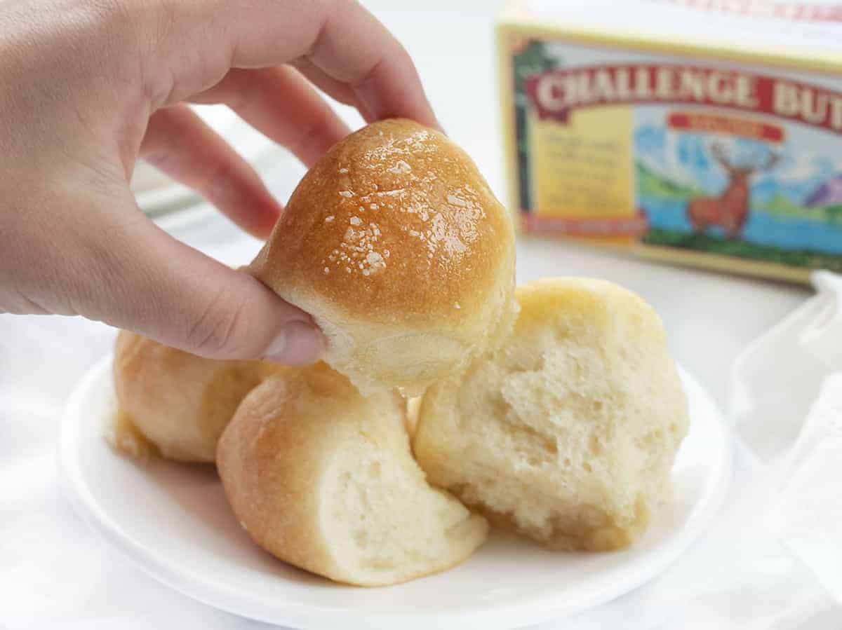 Buttery Bubble Bread is homemade bread that is a soft, salty, and buttery pull-apart bread that is easy to make and perfect for dinner rolls! Butter Bread, Bubble Bread, Buttery Bubble Bread, Bundt Bread, Dinner Rolls, Thanksgiving, Christmas rolls, bread recipe, homemade bread, rolls, i am baker, iambaker, recipes Hand Holding one Piece of Bubble Bread