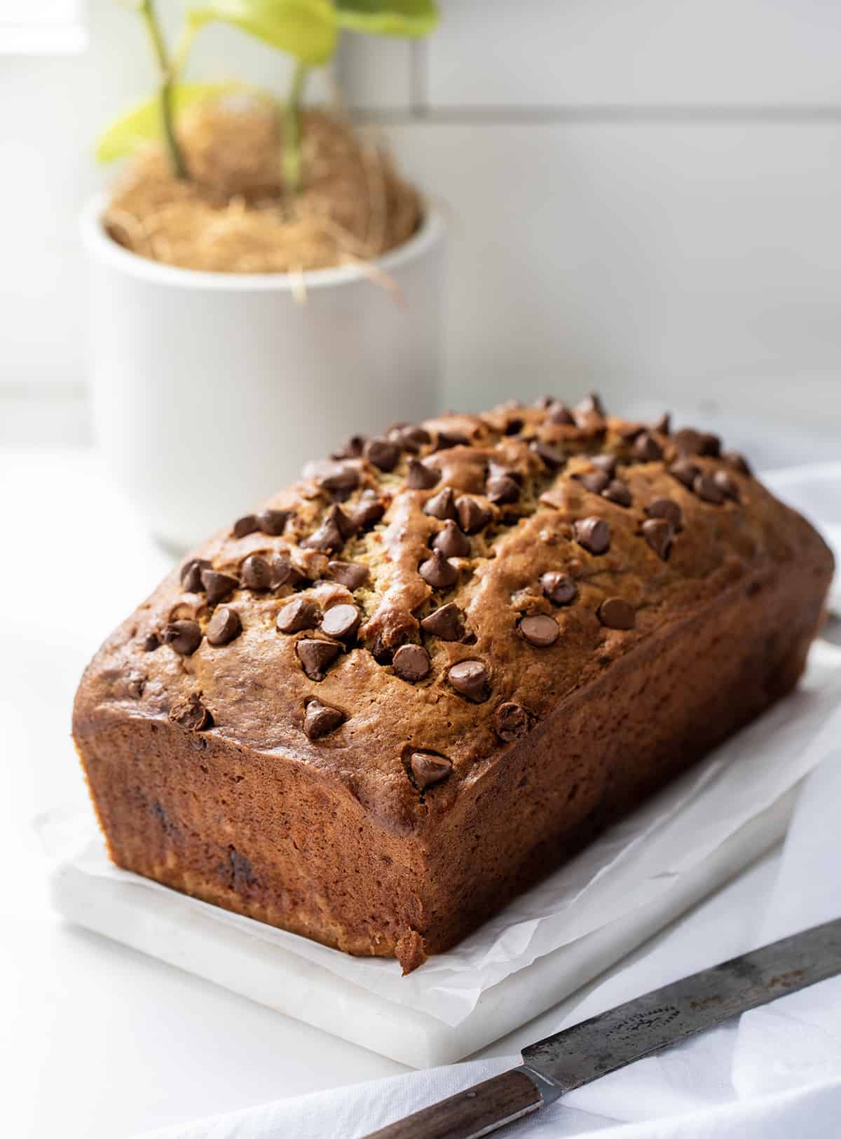 Chocolate Chip Banana Bread is a moist, delicious treat that is perfect for breakfast, brunch, or a snack. It is made with bananas and chocolate chips and is sure to please everyone. I make mine mile-high and just love how it rises in the pan! Loaf of Chocolate Chip Banana Bread on a Counter in Front of a Window with a Plant.