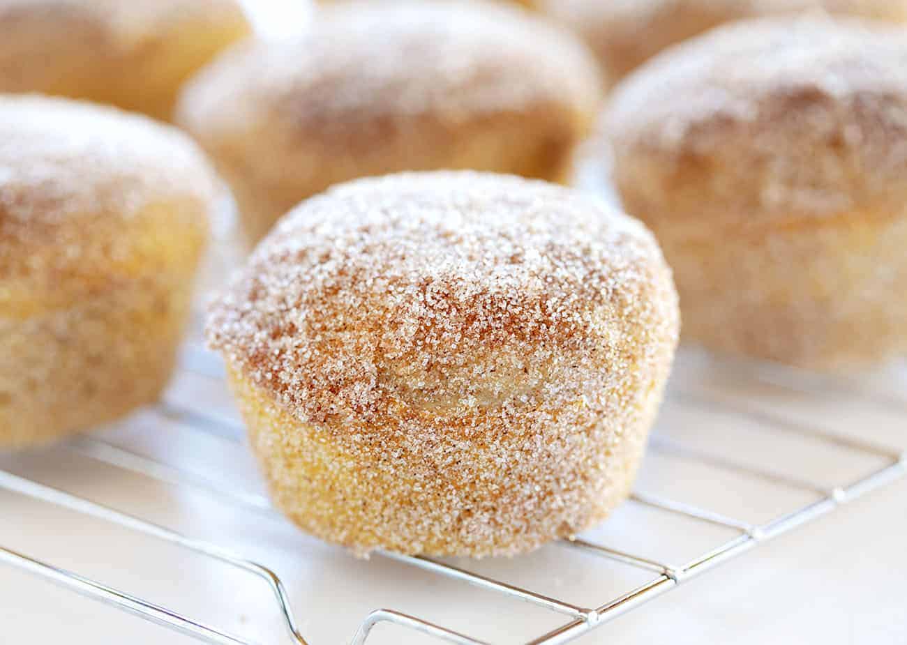 Cinnamon Sugar Donut Muffins are the best of both worlds of donuts and muffins all in one sweet treat! cinnamon sugar donut muffins, donut muffins, cinnamon sugar, sugar donuts, donuts, muffins, iambaker, baking, breakfast treats, muffins recipes Cinnamon Sugar Donut Muffins on a Wire Rack