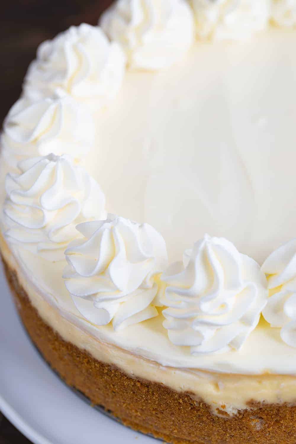 A classic cheesecake recipe that you will use again and again. The topping is what makes it over-the-top special! #cheesecake #cheesecakerecipe #howtobakecheesecake #easycheesecake #classiccheesecake #iambaker Classic Cheesecake Recipe