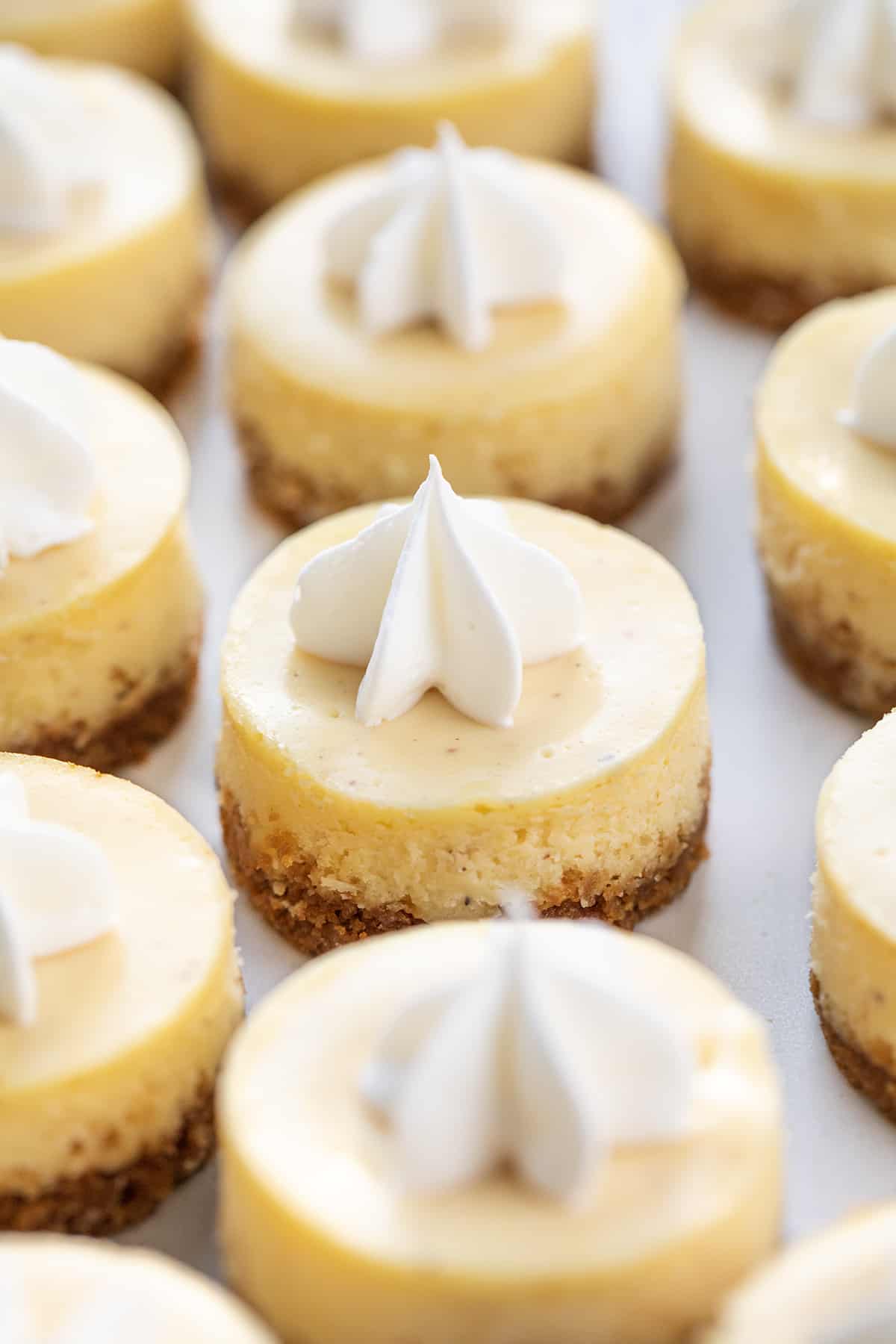 With the holidays here, the more snacks, desserts, and appetizers you can make, the better! These mini eggnog cheesecakes cover all the bases. They are easy finger food, they can be added to a Christmas dessert charcuterie board (all the rage right now), and are also perfect New Year's Eve appetizers! In addition, it doesn't get more festive than using eggnog in the mini cheesecakes.