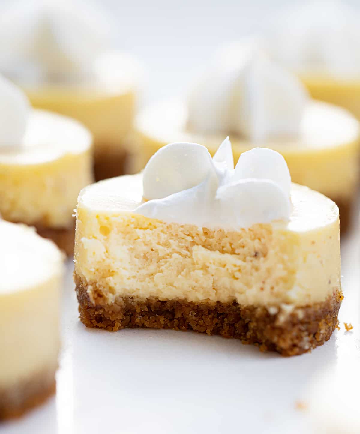 With the holidays here, the more snacks, desserts, and appetizers you can make, the better! These mini eggnog cheesecakes cover all the bases. They are easy finger food, they can be added to a Christmas dessert charcuterie board (all the rage right now), and are also perfect New Year's Eve appetizers! In addition, it doesn't get more festive than using eggnog in the mini cheesecakes.