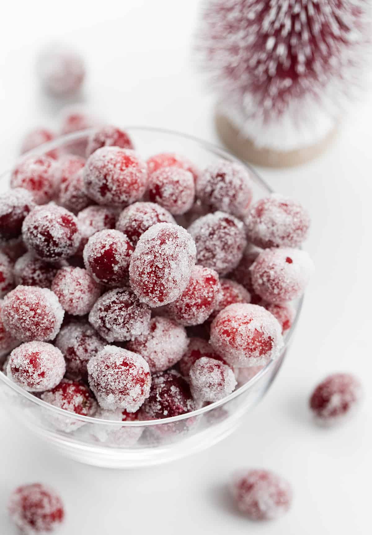 Sugared Cranberries are fresh cranberries coated in simple syrup and tossed in sugar for the perfect festive treat. The best part about this recipe is that it is only three simple ingredients--cranberries, sugar, and water! These are ideal for Cranberry Punch Recipes, Christmas Desserts, a Holiday Fruit Tray, or any Cocktail or Mocktail recipes! Close up of Sugared Cranberries in a Bowl on a White Counter.