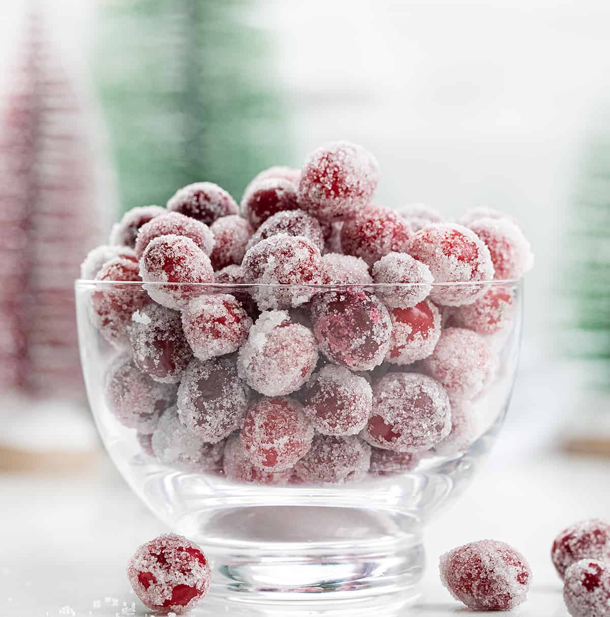 Sugared Cranberries are fresh cranberries coated in simple syrup and tossed in sugar for the perfect festive treat. The best part about this recipe is that it is only three simple ingredients--cranberries, sugar, and water! These are ideal for Cranberry Punch Recipes, Christmas Desserts, a Holiday Fruit Tray, or any Cocktail or Mocktail recipes! Bowl of Sugared Cranberries with Christmas Decorations in the Background.